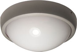 Светильник светодиодный AL3001 20W/1200Lm/5000K/IP54, в алюминиевом корпусе Feron