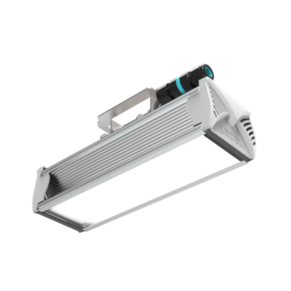 Светильник L-industry NEW 12/11/Г30/5.0K/01/IKII-50/220AC IP66 поворотное крепление LEDEL 504011