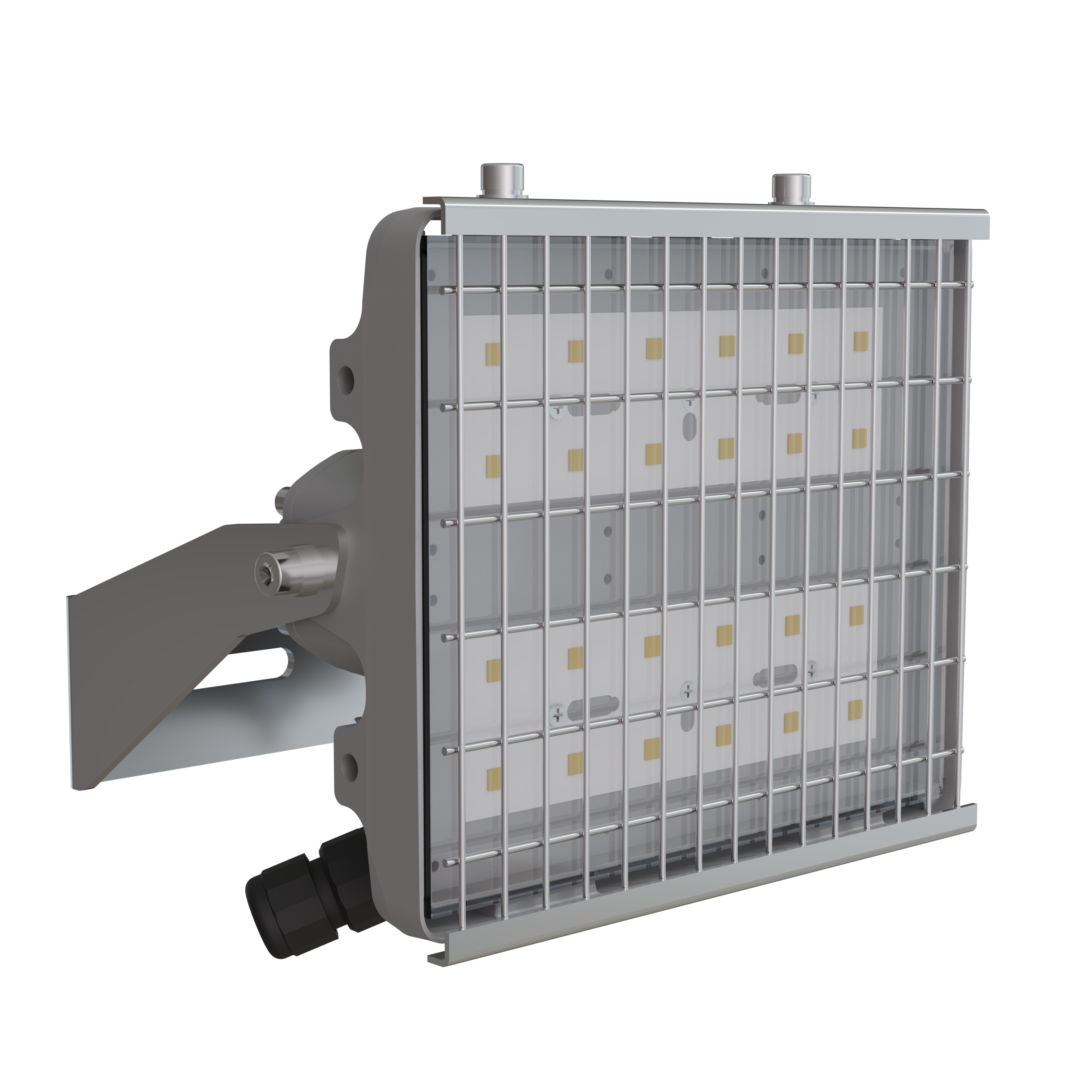 Светильник L-pixel 2 banner/100/К15/750/R5/05/I1-C2/230AC IP66 # Светильник L-pixel 2 banner/100/К15/750/R5/05/I1-C2/230AC IP66 #