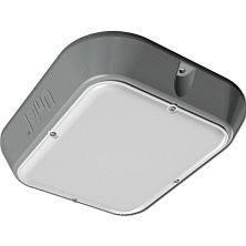 Светодиодный антивандальный светильник Медуза ULT-V12-9,5W/NW 600Лм IP65 GREY
